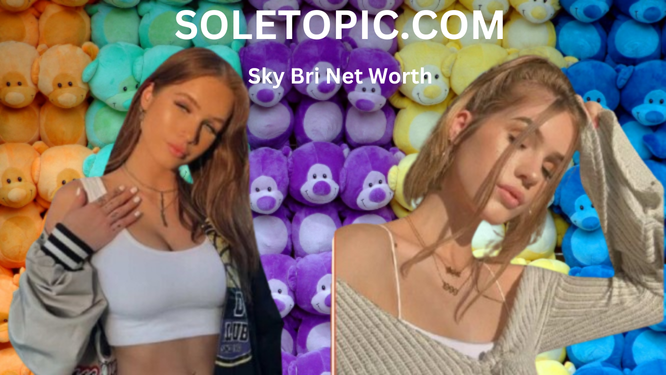 Sky Bri Net Worth