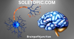 Exploring the Neural Connections at BrainPathJunction